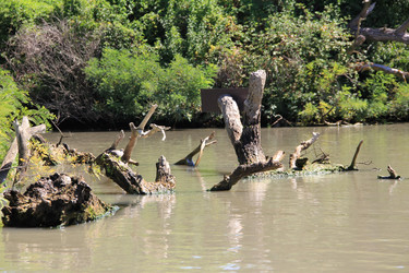 Similar image 22007232