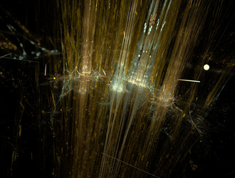 Similar image 22019756