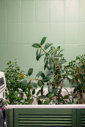 Similar image 22017118