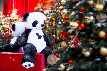 Similar image 22007334