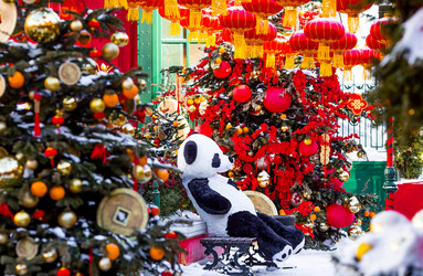 Similar image 22007340