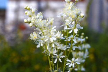 Similar image 22007341