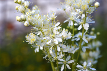 Similar image 22007342