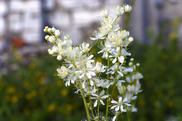 Similar image 22007343