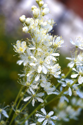 Similar image 22007344