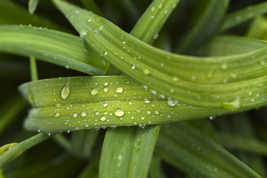 Similar image 22007345