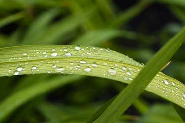 Similar image 22007346