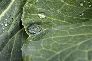 Similar image 22007347