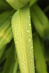 Similar image 22007348