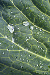 Similar image 22007349