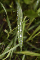 Similar image 22007350