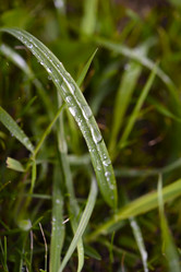 Similar image 22007351