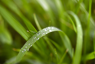 Similar image 22007352