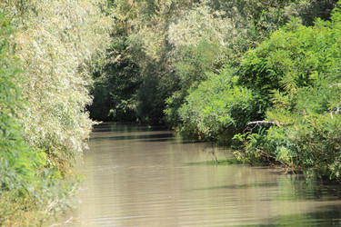 Similar image 22007018