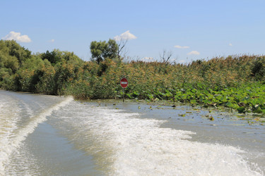 Similar image 22007019