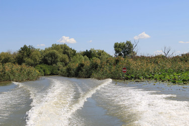 Similar image 22007020