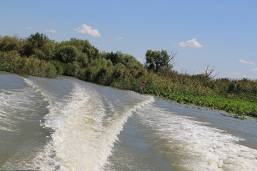 Similar image 22007021