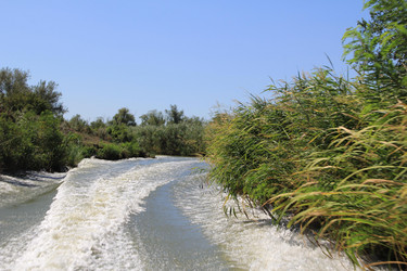 Similar image 22007022