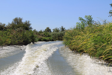 Similar image 22007024