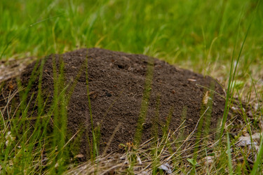 Similar image 22009522