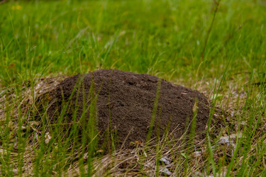 Similar image 22009524