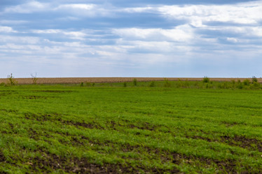 Similar image 22009526