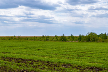 Similar image 22009528