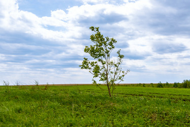 Similar image 22009534