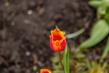 Similar image 22009540