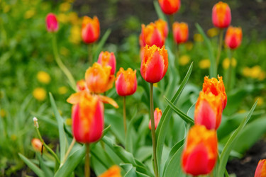 Similar image 22009541