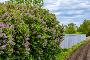 Similar image 22013589