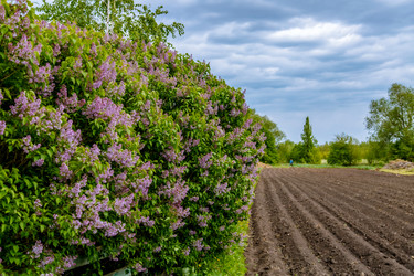 Similar image 22013593