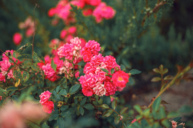 Similar image 22013654