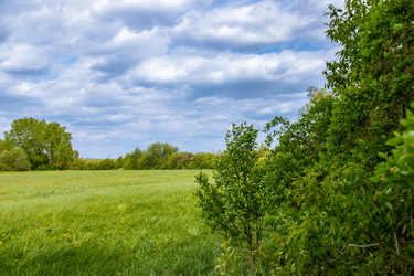 Similar image 22013657