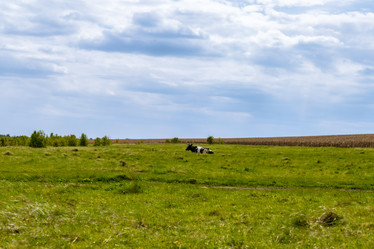 Similar image 22013658