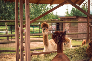 Similar image 22013664