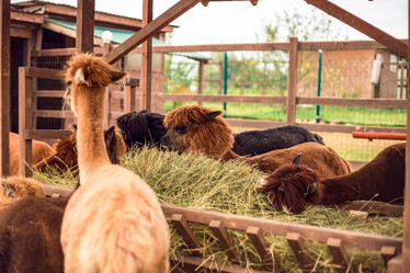 Similar image 22013693