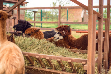 Similar image 22013697