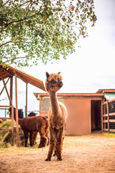 Similar image 22013703