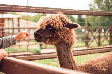 Similar image 22013708