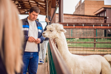 Similar image 22013712