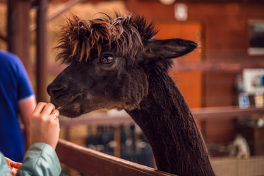 Similar image 22013715