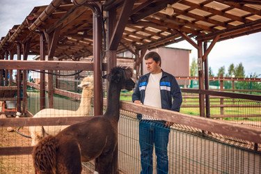 Similar image 22013718