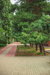 Similar image 22013719