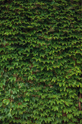 Similar image 22013720