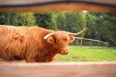 Similar image 22013721