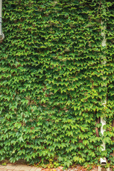 Similar image 22013722