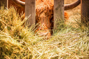 Similar image 22013724