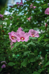 Similar image 22014593