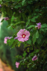 Similar image 22014594